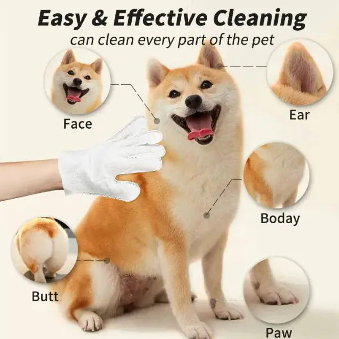 Pet cleaning gloves and wipes